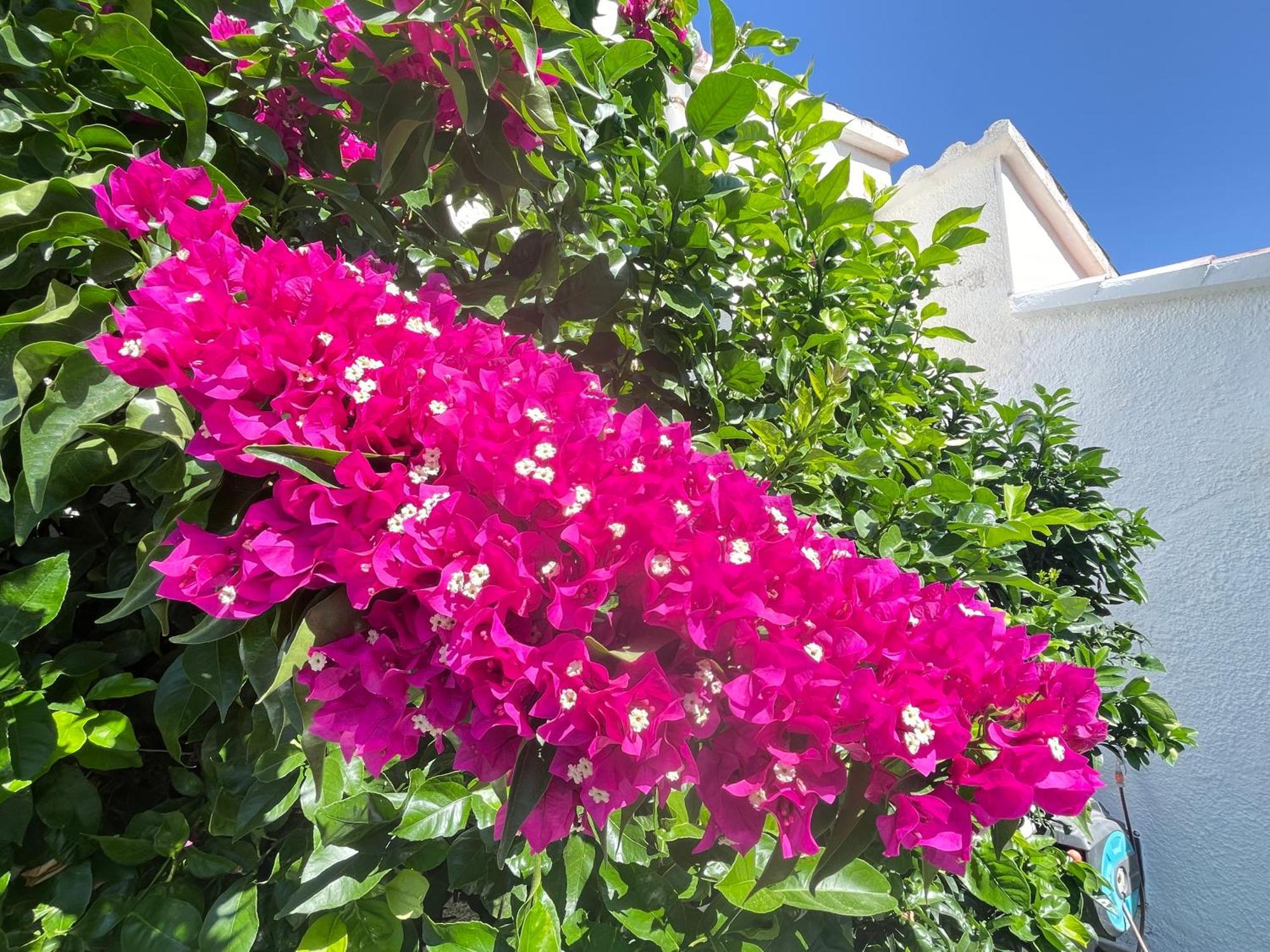 Charmante Villa Avec Piscine Dans Les Canaux Empuriabrava Εξωτερικό φωτογραφία